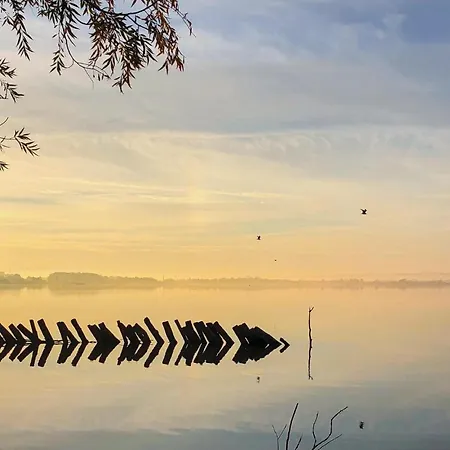 Cozy In Lembruchduemmer Apartment *